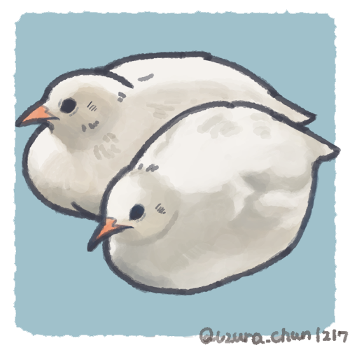 ひめうずらのtwitterイラスト検索結果
