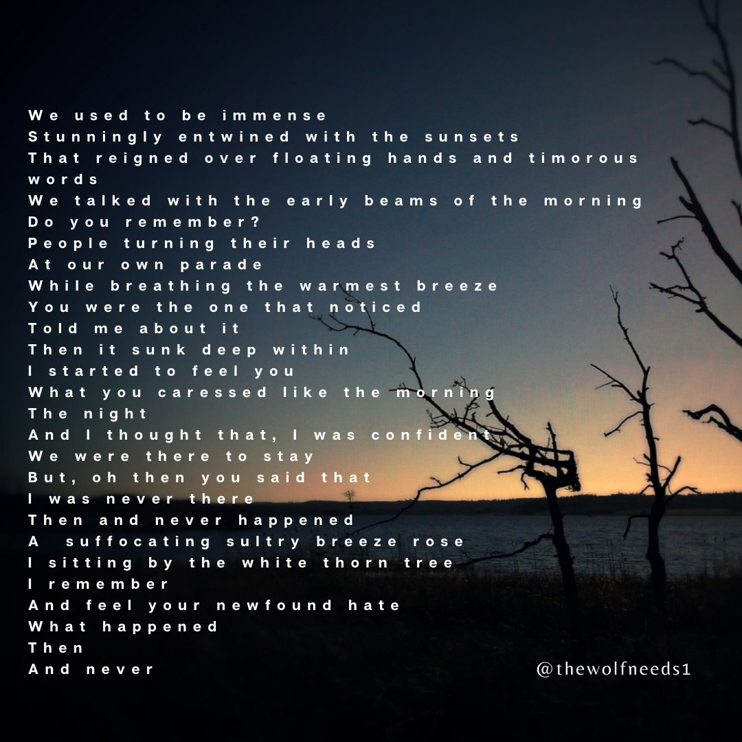 Thewolfneeds1's tweet photo. #poetry #Writer #amwriting #writer #amwriting #Poetry_Planet #indieauthors #Dark #feeling #love #poetryisnotdead #poetweet #poetrycorner #poetrybooks  #poetrylovers #art #artist #POEMS  #poetrywriter #love #poem #poetrycommunity #writing #art #Writer https://t.co/zotqukOGds
