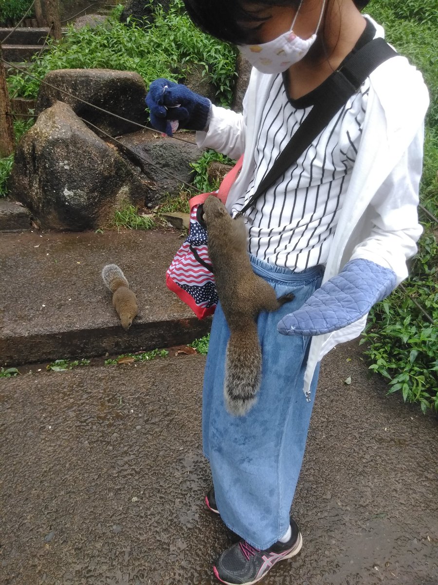 あきやま ゆうたろう 雨の日の町田リス園は 午後になってもリスの食い付きは半端ない