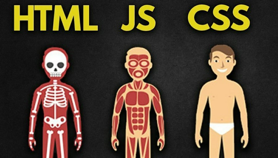 🢡 JavaScript is brain of your site, this image sums it up perfectly.You must know concepts like console,log, functions , classes ,loops and especially the DOM in Js. You can later learn about promise,async and await.