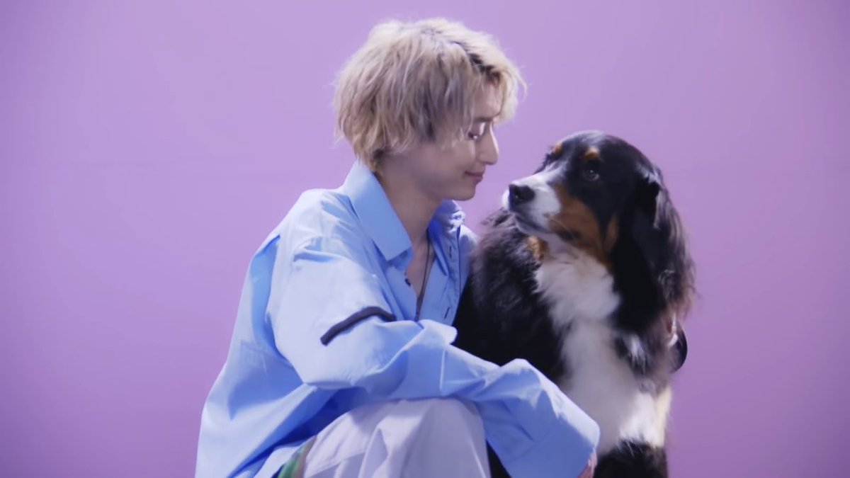 Man KISSIN' MY LIPS オフショット 犬 公式写真 9枚 Snow Man 阿部亮平 公式写真 KISSIN' MY LIPS 犬｜Yahoo!フリマ