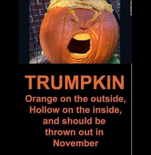 LinnyRobertson's tweet photo. Saw this and couldnt not pinch it 🤣 https://t.co/nTsyX3oMZB