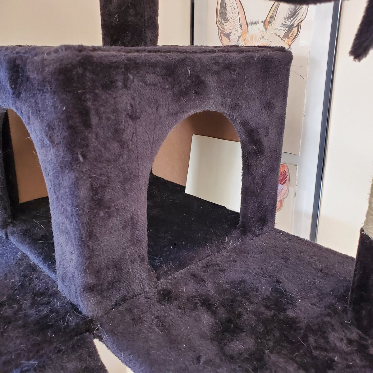 StoweArts's tweet photo. That led to a cat tower #hewerquest34 Someone was displeased... https://t.co/zUPYLSNEC5