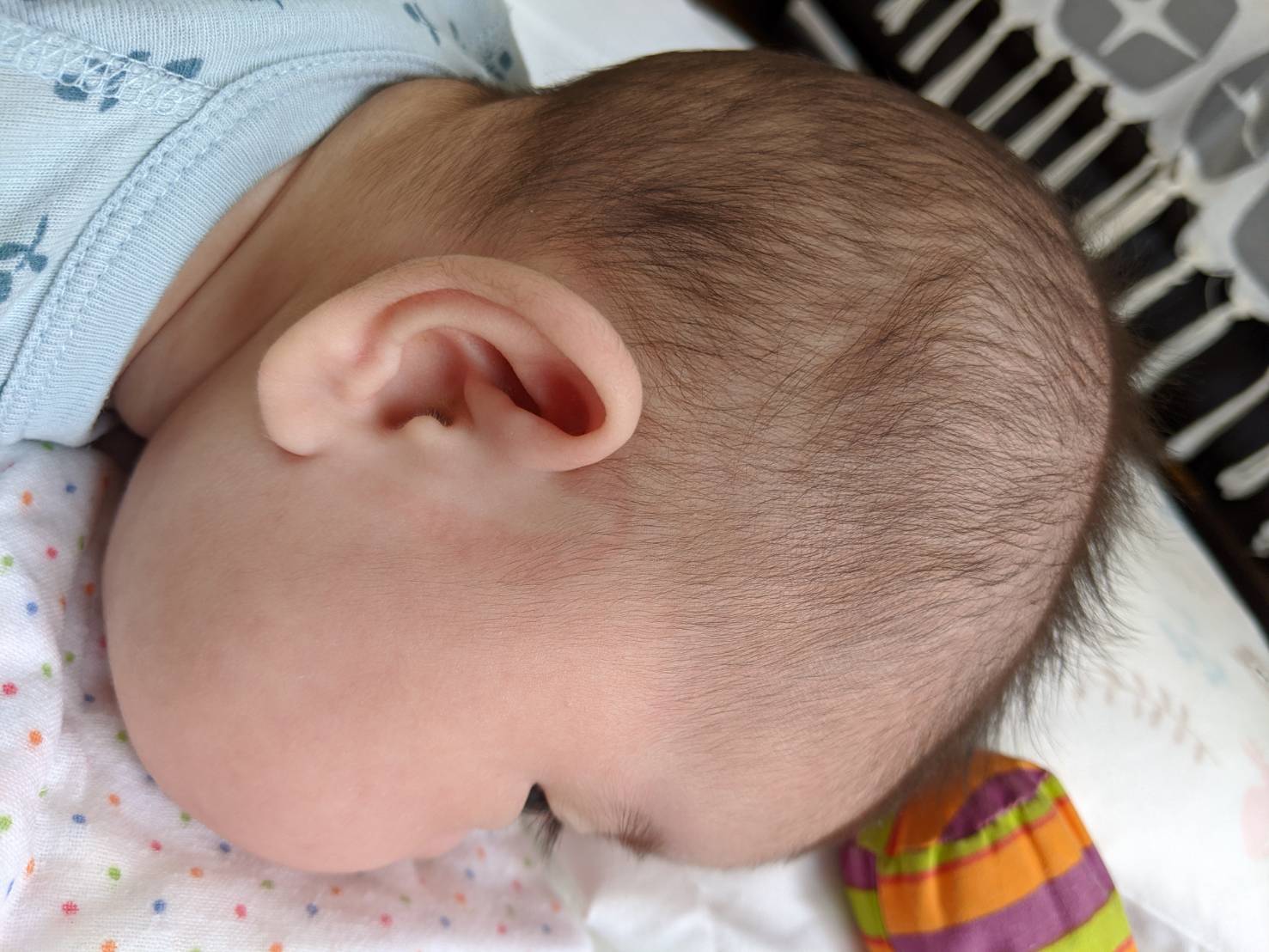 羽川すぎたろ 赤ちゃんの横顔まじでクレヨンしんちゃんだわ T Co 6lbbofqger Twitter 羽川すぎたろ 赤ちゃんの横顔まじでクレヨンしんちゃんだわ T Co 6lbbofqger Twitter