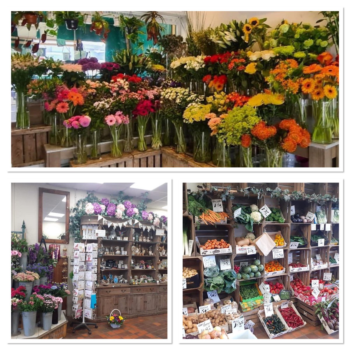 ssmithflowers's tweet photo. All our branches are now open https://t.co/RX0c8T2zd6