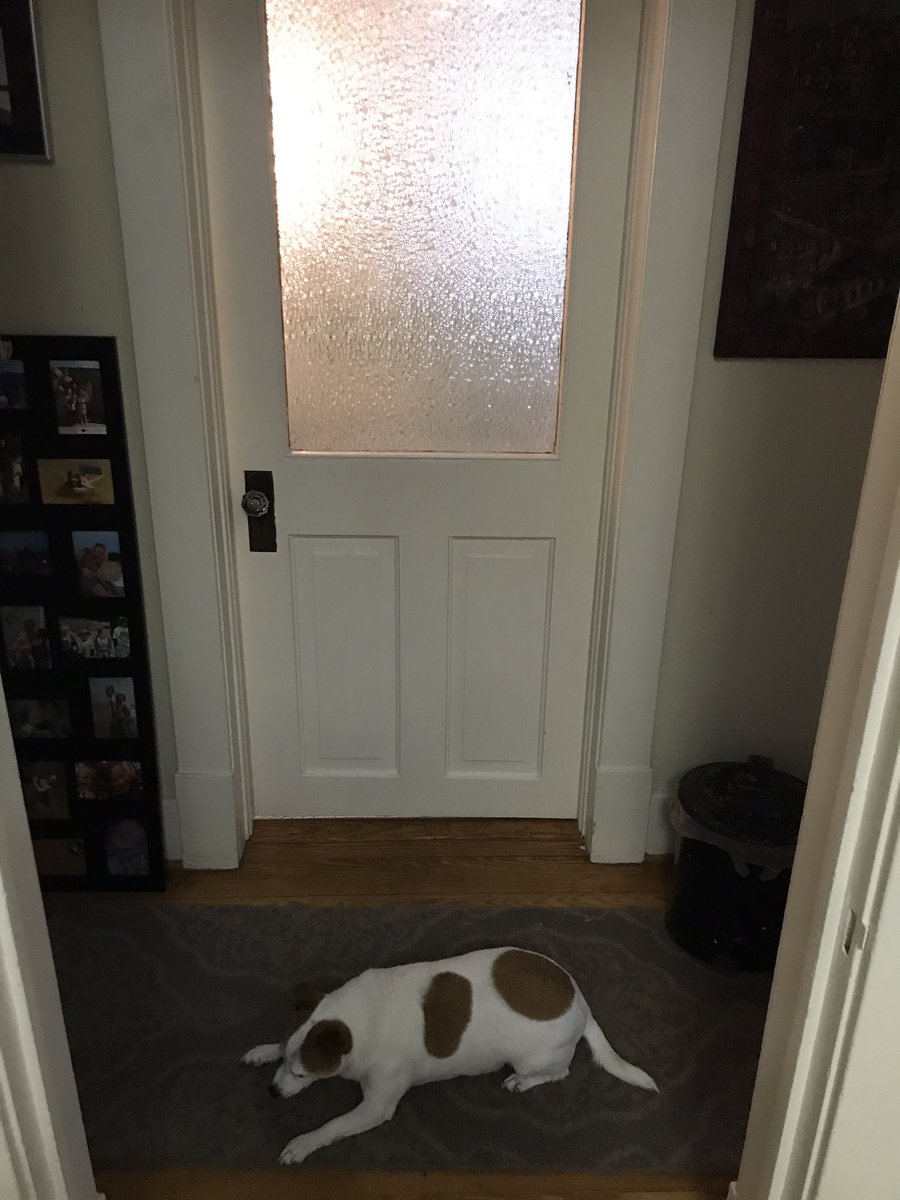 Ugh. Theresa has repurposed the KITMO detention facility, which housed the worlds most dangerous detainee, MeanCat, into the Ellis Island Immigration Center for Newly Arriving Orangeys. Expect anti-immigration protests later. The Baked Potato will counter-protest that protest ...