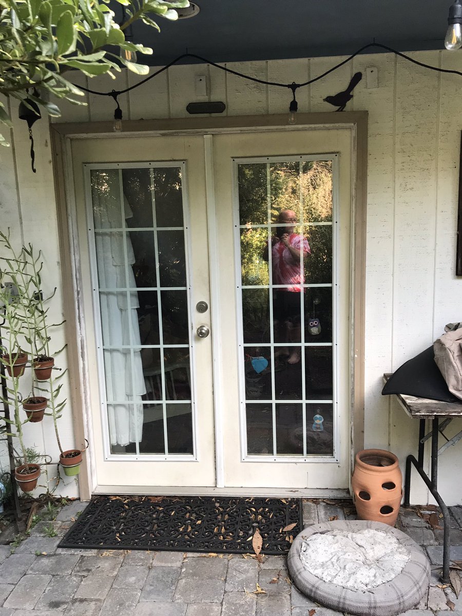 After a few days at the Ellis Island Immigration Center for Newly Arriving Orangeys, the controversial arrivals will then be transported to the ethnic Orangey conclave known as Hell’s Cottage. There, they will assimilate into whatever crime syndicate MeanCat has cooked up.