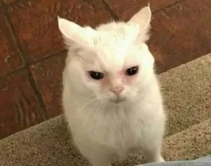 você tem q começar o dia com um sorriso e atitude positiva

eu: