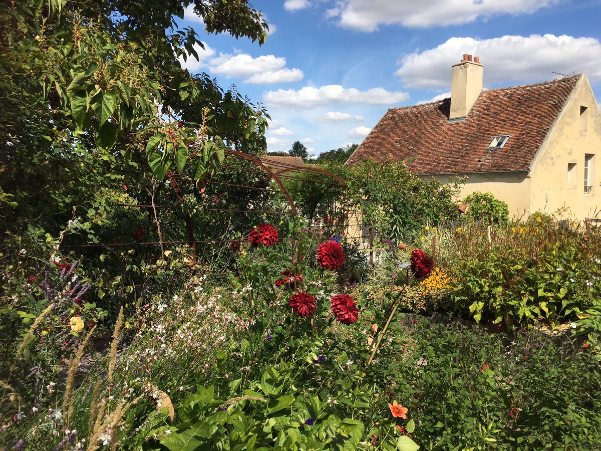 Elle est très fleurie en ce début septembre 2020...