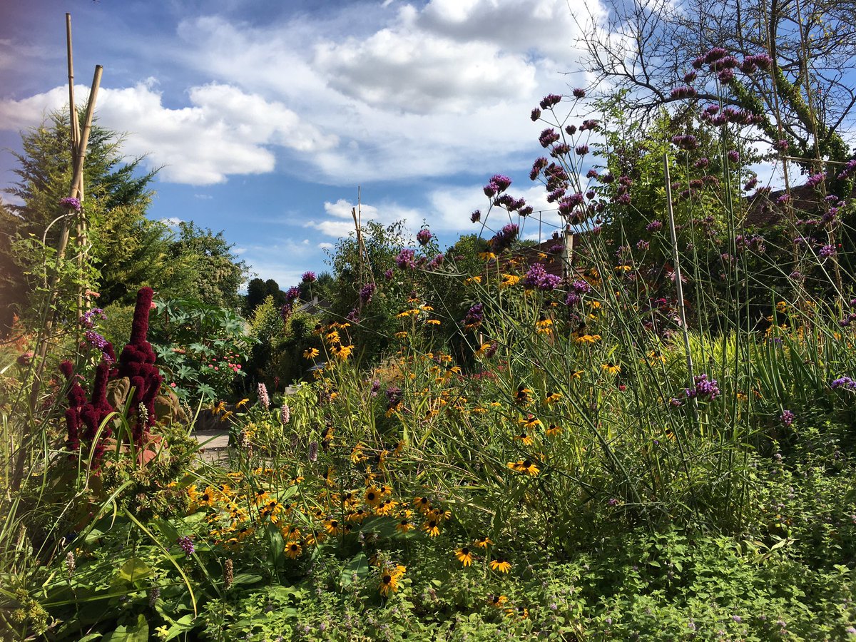Elle est très fleurie en ce début septembre 2020...