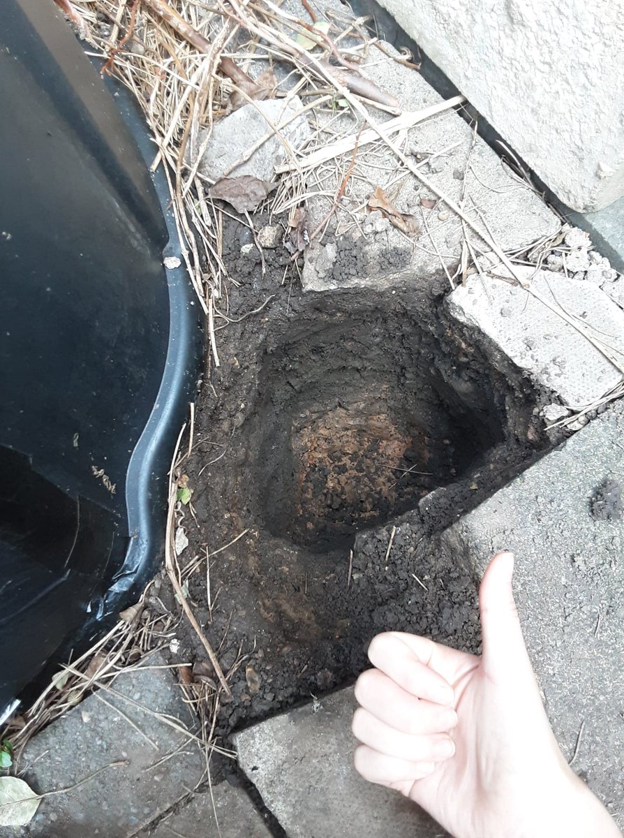 becky_cribdon's tweet photo. Short interlude from #PrimeStudentRipoff...
It's taken nearly three years of working with archaeologists, but I finally know the satisfaction of digging a really nice hole. https://t.co/XYEZ6tnuko