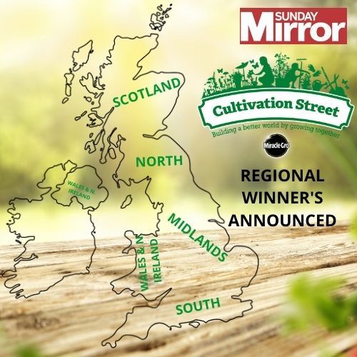 CultivationSt photo