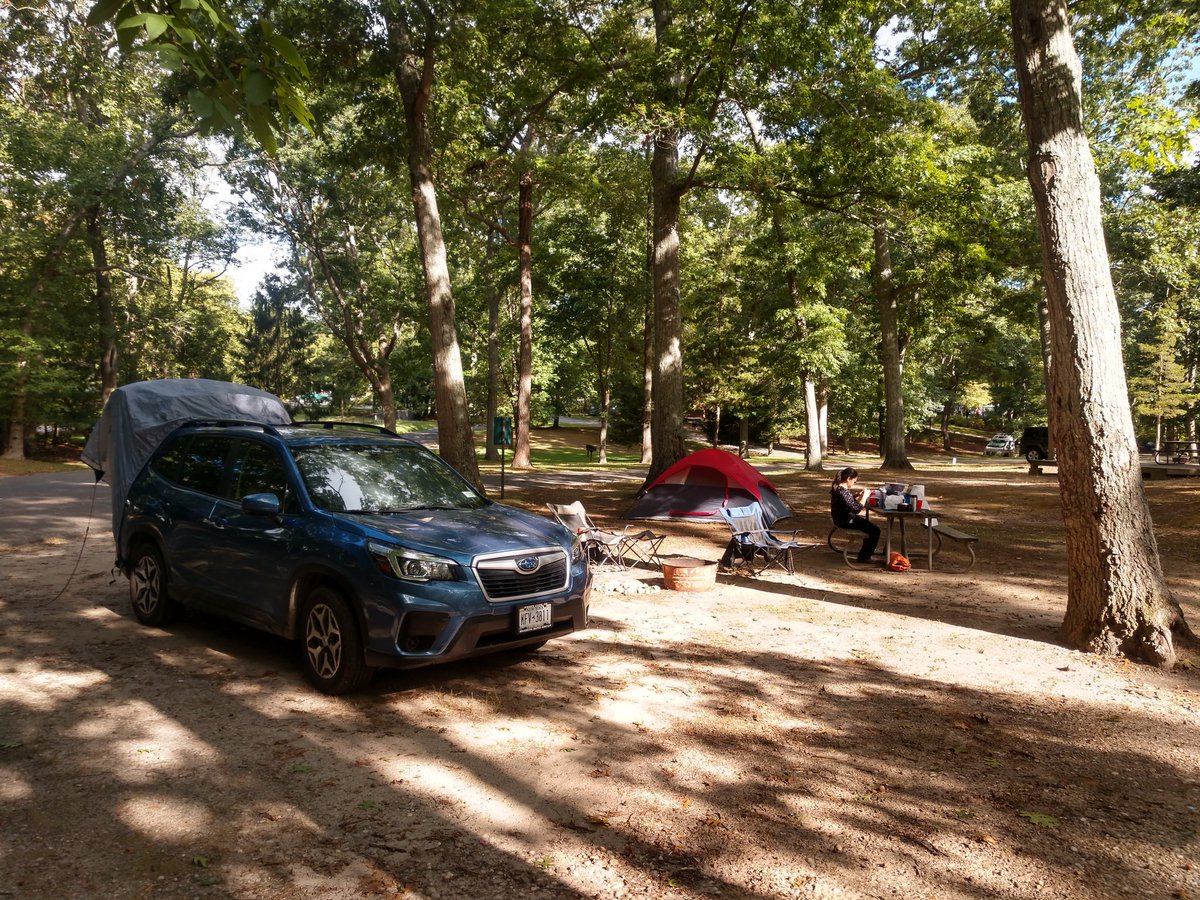 The country is littered with campgrounds where for less than half the price of the cheapest motel room, you'll get a spacious site to yourself. For example this campsite on rich-folks' Long Island cost us just $42 for the weekend. And that's higher than average.