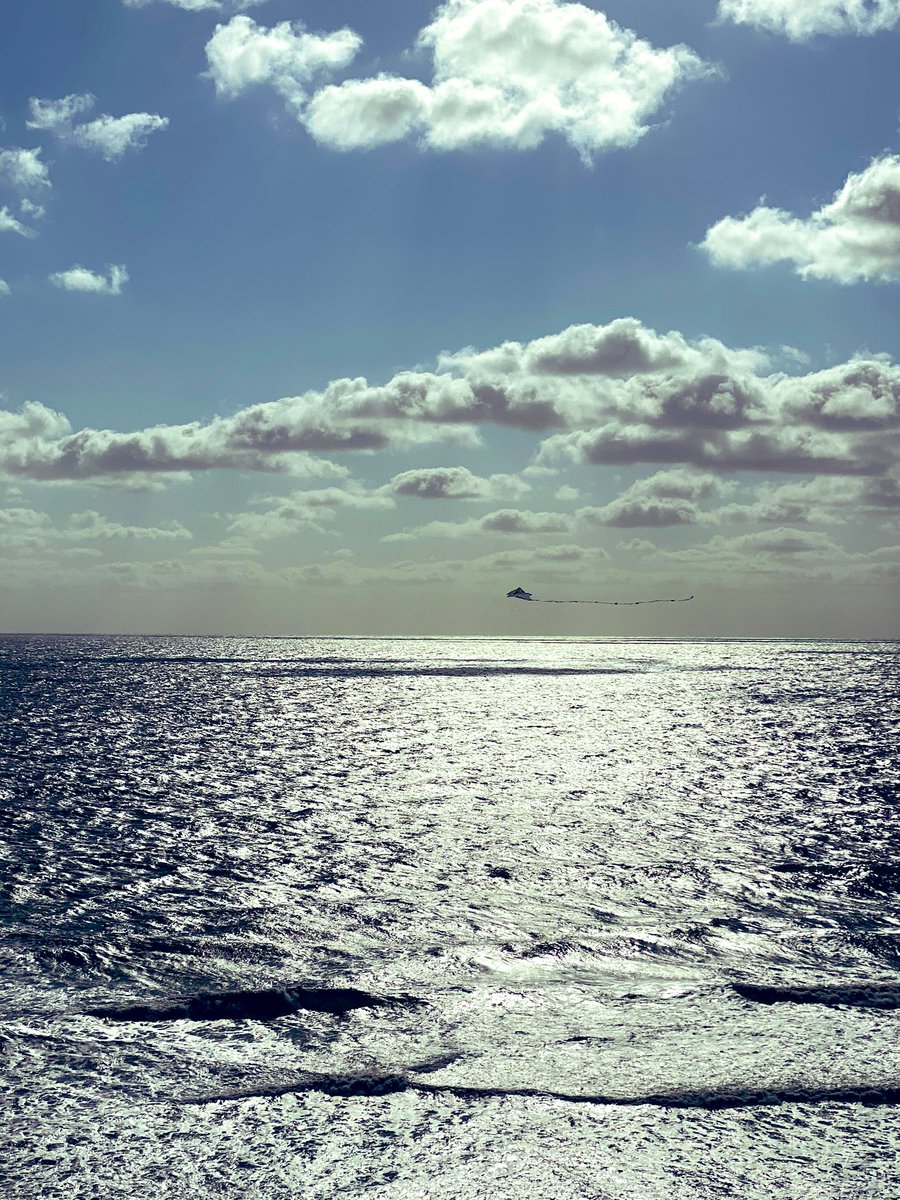 TrueBlueOtd's tweet image. Happy Saturday! Hope you’re spending your day outdoors!

(Pic taken at OCMD)