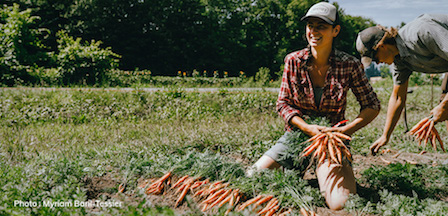equiterre's tweet photo. #FoodResilience - 2 | We must build the resilience of our agricultural system to overcome current and future crises. A very promising solution lies in the agricultural practices which regenerate our soils. 🥕👩🏻‍🌾🥗 #RootedForTomorrow https://t.co/fmeVtgO2jC https://t.co/6IMcvrcmJx