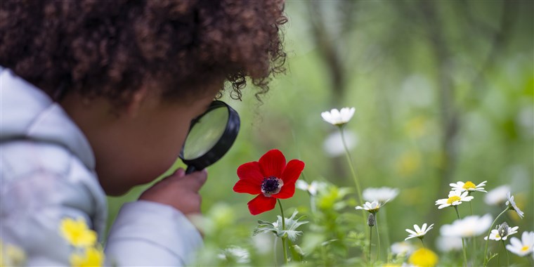 Fiziksel istismardan daha beteri düşünsel istismardır. Çocukların kafasına küçük yaştan itibaren batıl inançları sokmaktır, bol bol ön-yargılar yerleştirmektir, eleştirel ve yaratıcı düşünme haklarını ellerinden alıp, beyinlerindeki muhteşem meraklı sinirlerin uçlarını yakmaktır!