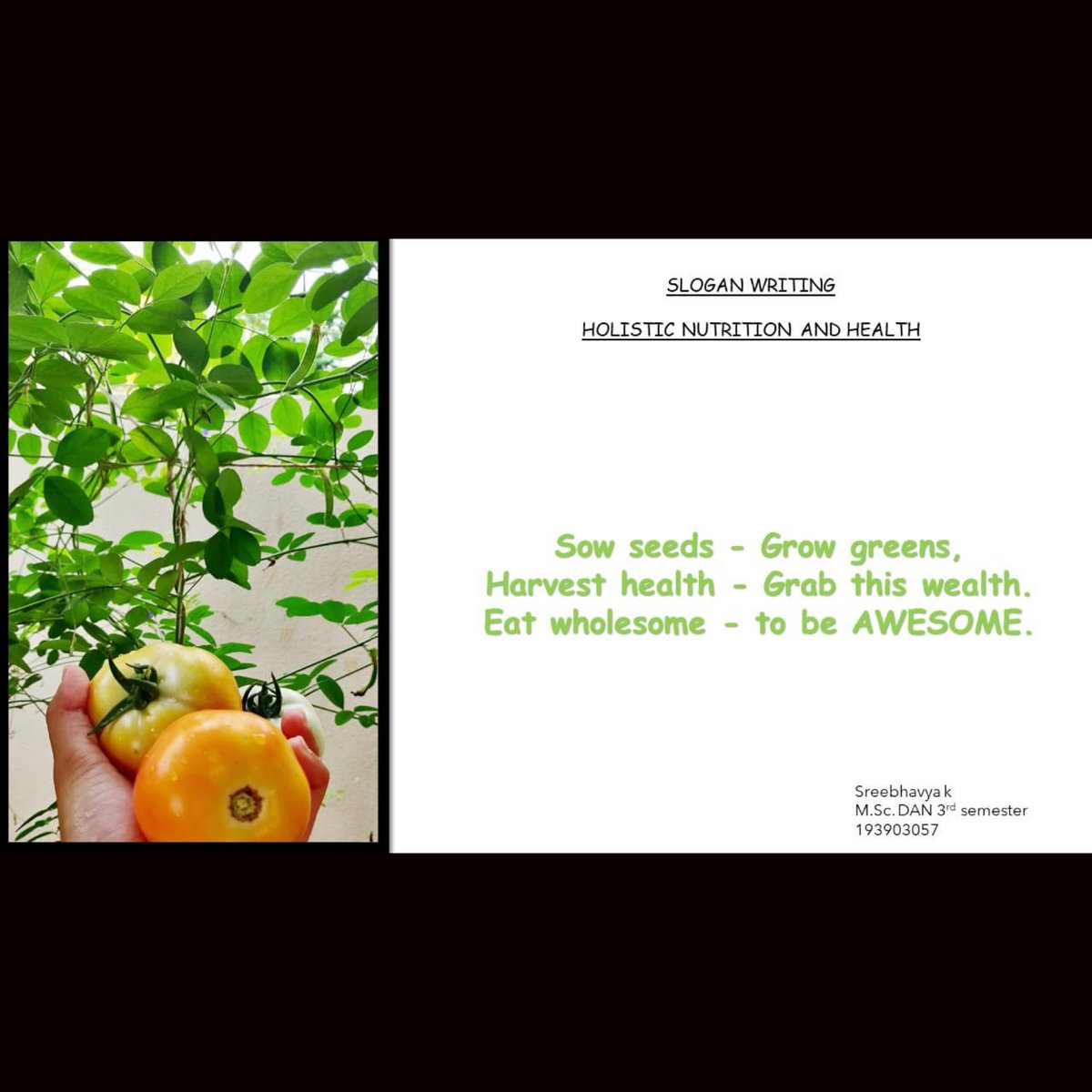 WManipal's tweet image. Hey All, Here are some of the top Nutrition and Health Slogans shortlisted from 40 Slogan Writing Competition entries received on the occasion of Rashtriya Poshan Maah 2020. 
The results will out soon.
#MScDAN #MAHE
 #SloganMaking #slogancontest #RashtriyaPoshanmah
@MAHE_Manipal