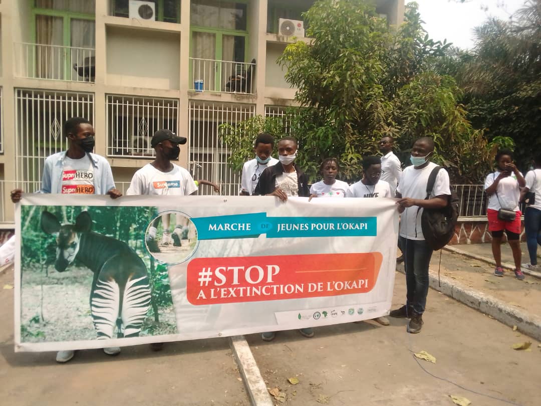 Protection et gestion des okapis, les jeunes s'engagent,🇨🇩 Marche pacifique de jeunes sur la protection des okapis dans la République Démocratique du Congo  <a href="/Hlcasbl/">HOPELANDCONGO</a> <a href="/HierPas/">Pas Comme Hier Asbl</a> <a href="/Mapon_Matata/">Matata Ponyo Mapon</a> <a href="/PNUDRDC/">PNUD RDC</a> @Papaco_IUCN <a href="/PronatEnda/">Enda Pronat: Protection naturelle des terroirs</a> <a href="/WWF/">WWF</a> protection des okapis notre affaire 🦓