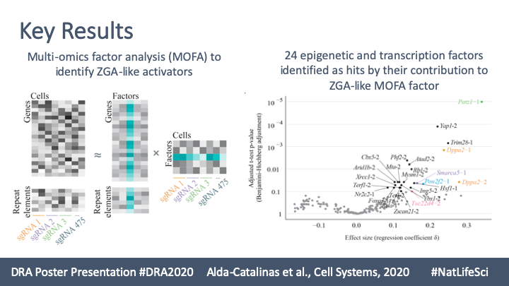 CeliaAlda9's tweet photo. It's a pleasure to receive an Honourable Mention Award at @DoctoralAwards #DRA2020 #NatLifeSci for my PhD work "#CRISPR activation screening at #singlecell transcriptomic resolution: discovering new regulators of #ZGA". @BabrahamInst @Cambridge_Uni. See poster and recent thread: https://t.co/PQDtRqGT2D