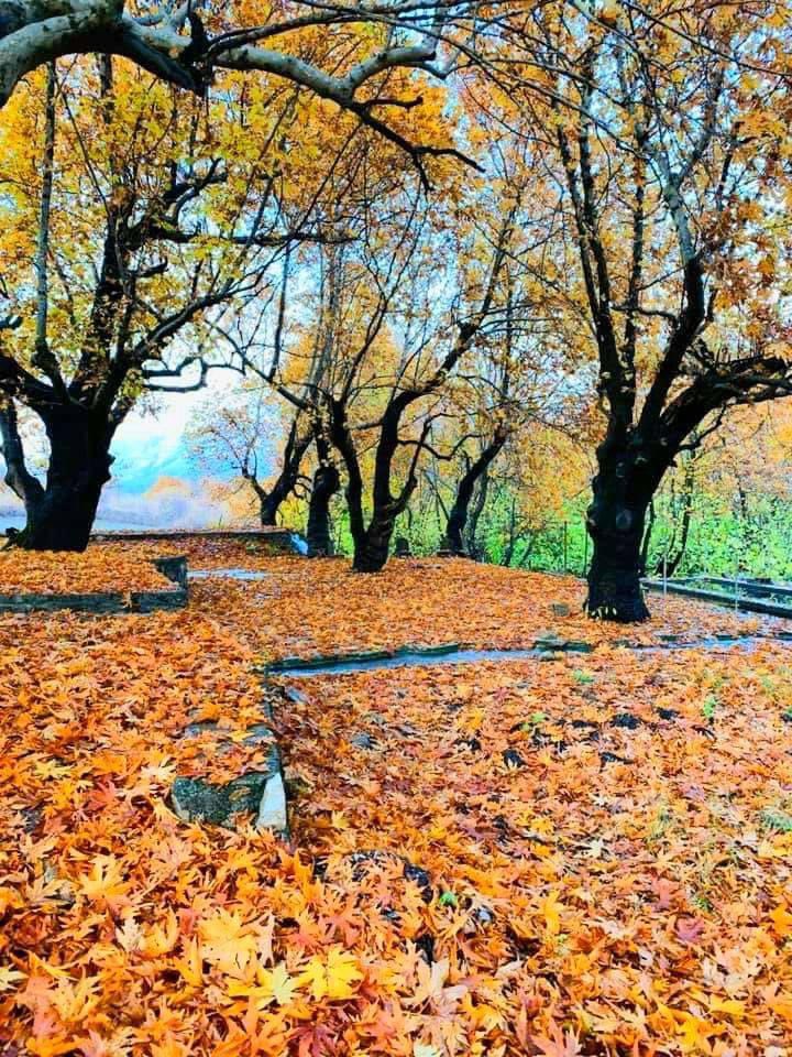 SarwanBarzani_'s tweet photo. Autumn is back with amazing views.
Herbo village in #Barzan area. https://t.co/9tNJJAI4Dv