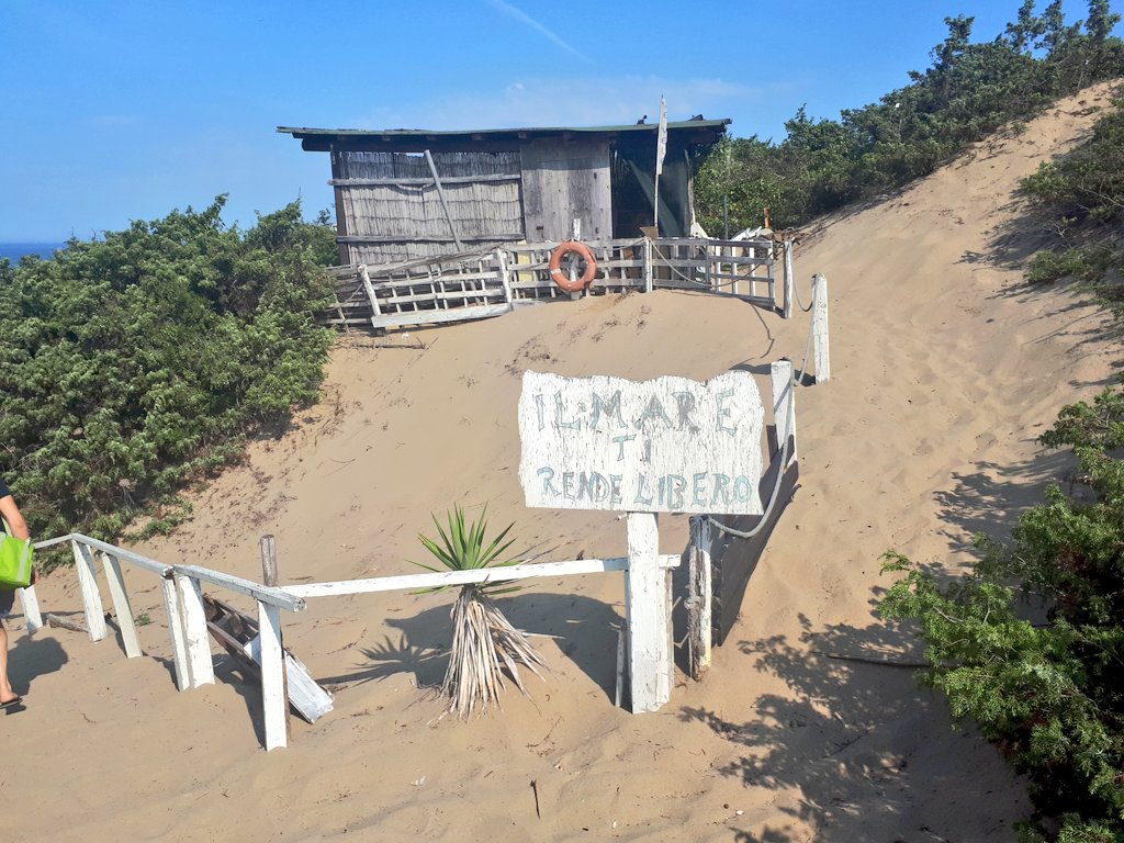 Simona_Ti's tweet photo. Dune e dintorni..π
#sea #beach #stillsummer
#sabaudia #circeo #thisitaly https://t.co/rigaJSCSAF