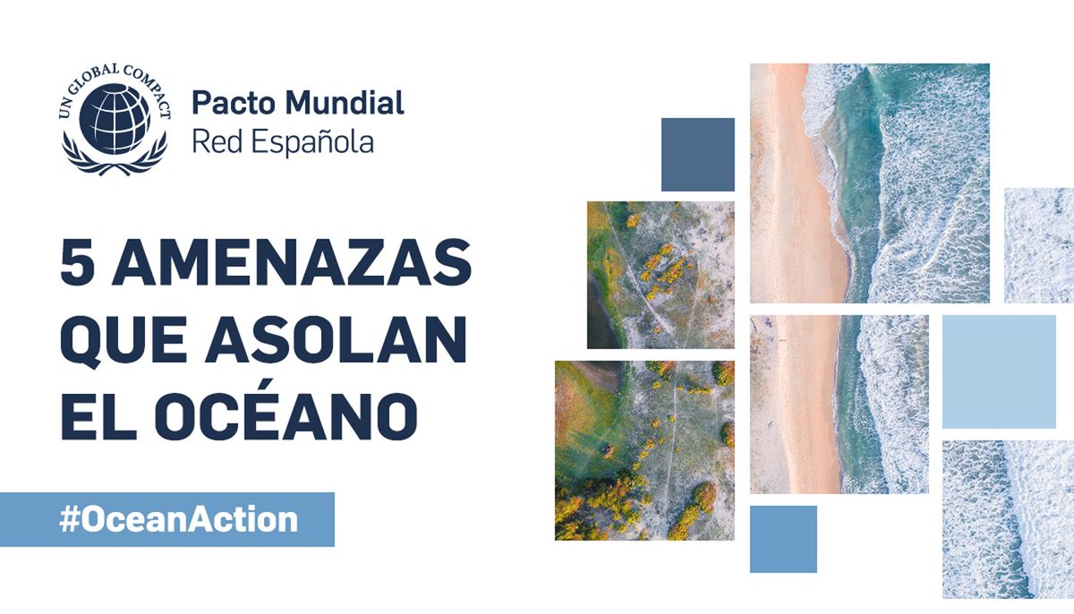 PactoMundial's tweet photo. Nuestros océanos se encuentran en un estado de deterioro alarmante debido a las múltiples amenazas a las que se enfrentan:

🌡️#CambioClimático
🐠Sobrepesca
💨Contaminación
🐚Pérdida de #biodiversidad
⚖️Gobernanza débil

Más info ➡️https://t.co/bVuzpwwfn9 #OceanAction #ODS14 https://t.co/p0HCpqF5Lp