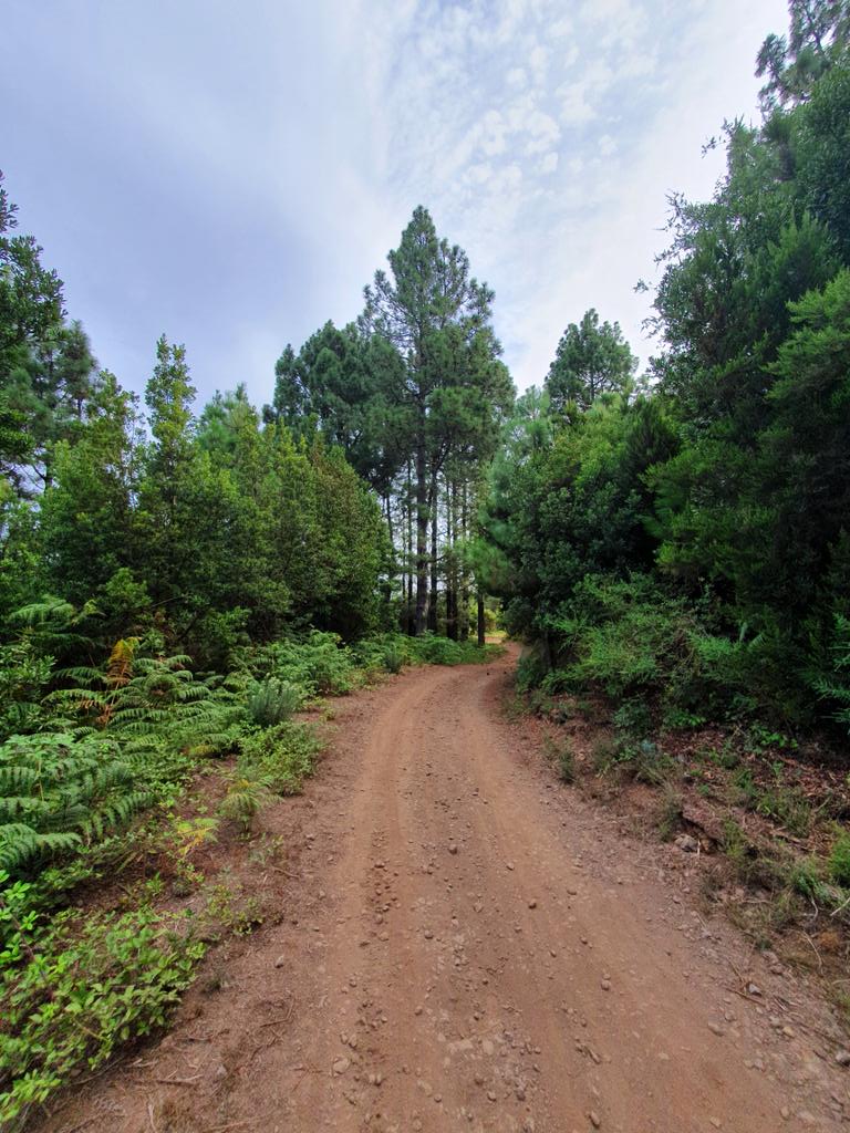 ConsiguetuMeta's tweet photo. Siempre hay más de un camino por descubrir. #montedelaesperanza #tenerife #running #trail #17kms https://t.co/QE4ZxRTV2g