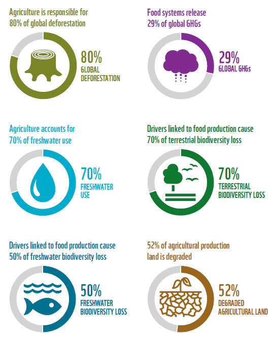 And it also shows why I bother my followers with food so often.I know you are mostly interested in electric vehicles, solar and wind. And less so, in my promotion of eating more vegan. But even apart from animal suffering, the impact of our food on nature is enormous!