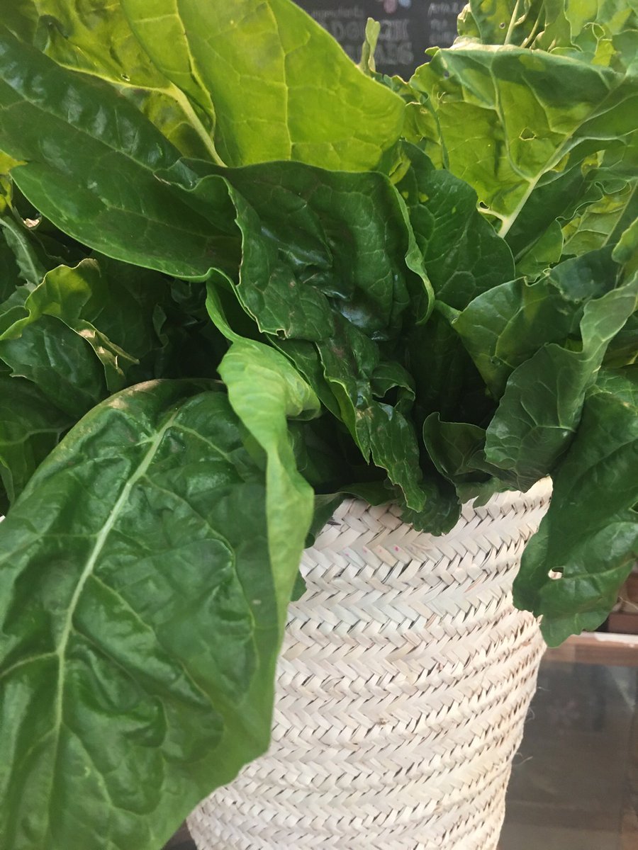 This fresh organic spinach from Morogoro is everything! Karibu☀️🌱

#iamorganic #organic #spinach #vegetables #organicfarming #spinach #organicfood #healthylifestyle #healthyliving <a href="/SWISSAID_Tz/">SWISSAID Tanzania</a> <a href="/KilimoHai/">SAT</a> <a href="/TOAMorganic/">TOAM</a>