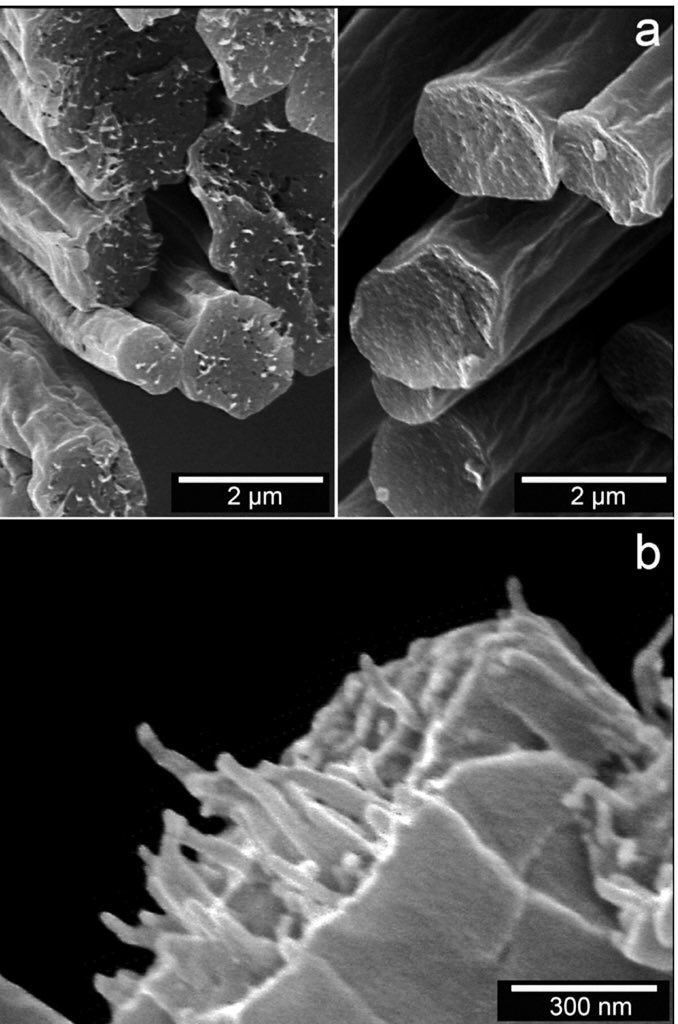 furoid's tweet image. #DESIGNERNEEDED !!! Biodegradable yarn for faux fur will be our first commercial product! #platformtechnology