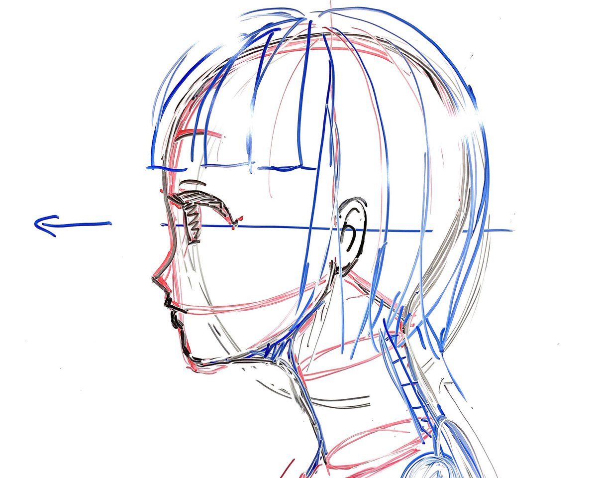 首の描き方 首の描き方