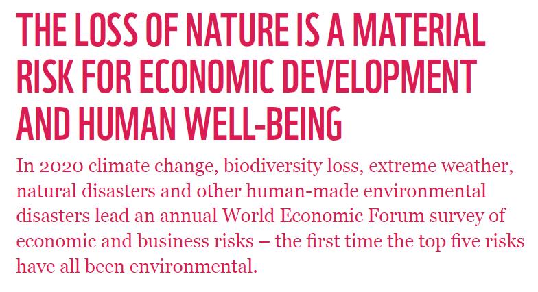 But there is an EVEN DEEPER REASON for solar, wind and electric vehicles than combatting GW:SAVING NATURE.That's not just the treehugger in me talking. Without a well functioning natural system we can say human civilization goodbye. And we can't ignore the damage any longer.