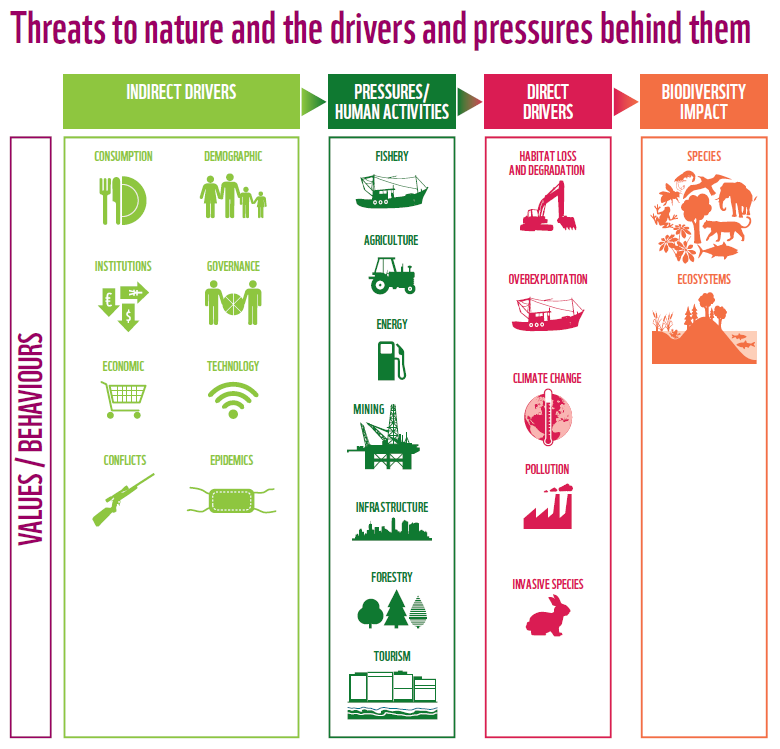 But there is an EVEN DEEPER REASON for solar, wind and electric vehicles than combatting GW:SAVING NATURE.That's not just the treehugger in me talking. Without a well functioning natural system we can say human civilization goodbye. And we can't ignore the damage any longer.