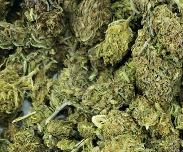 Female cannabis plant's Flower bud & all flowering part is ganja/weed/marijuana.Hashish (Charas)refers to resin collected from compressed resin glands of flowers of this plant.Bhang is male part, non flowering, mostly of leaves,extracts of leaves, stem, people use it in drink.