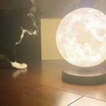 オシャレな間接照明!磁石で浮き、風でくるくる回る月ライトが素敵すぎる!