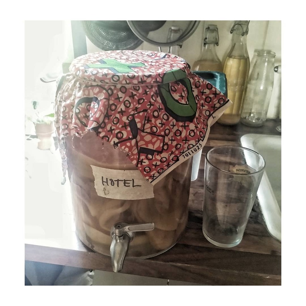 It's been a while since we got out one of our ageing hotel residents. 

We are family! Show your microbes and the ones around you some love! 😍 🦠 

_
-
-
-

#deepfermentation  #pickle #kraut #gutbiome #lacticbacteria #lacticfermentation #fermentationc… instagr.am/p/CFCBt7BHYGH/