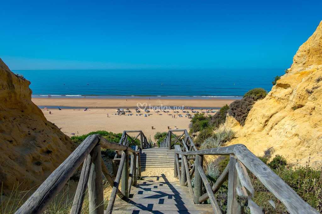 CaprichosMusic's tweet photo. Hoy disfrutaremos de Miguel Poveda en el corazón de Doñana, con el océano Atlántico como telón de fondo. https://t.co/YV0Xd3b6y9