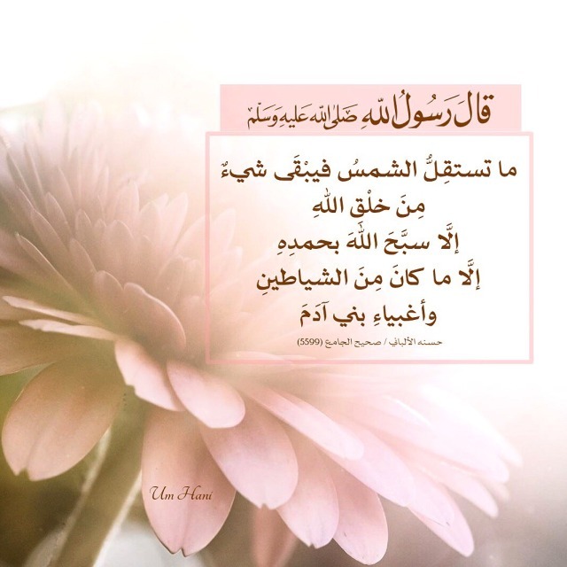 hudaomar41's tweet photo. عن عمرو بن عبسة رضي الله عنه قال : قال رسول الله صلى الله عليه وسلم :

((ما تستقِلُّ الشمسُ فيبْقَى شيءٌ مِنَ خلْقِ اللهِ إلَّا سبَّحَ اللهَ بحمدِهِ إلَّا ما كانَ مِنَ الشياطينِ ، وأغبياءِ بني آدَمَ)).

حسنه الألباني / صحيح الجامع (5599).

المصدر
https://t.co/XrElZam2fp https://t.co/sXdH3w7zA8
