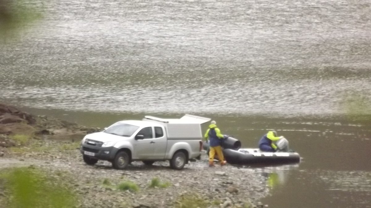 Saturday 12.09.20 - 10.35 am 50 kg of Carcinogenic Formaldehyde taken out to pour on their diseased fish. 23 days and 2275 kg and still having to "treat" the fish ???? Do they honestly believe ths is working as a "cure" all I see is dustbins of dead fish taken away every day