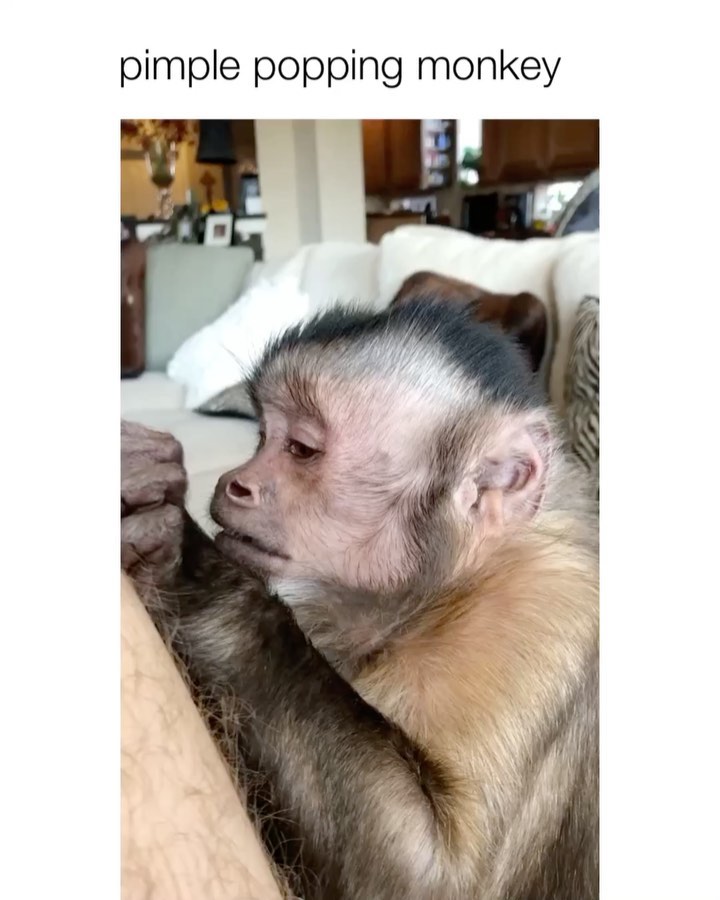MarcelaMix1's tweet photo. The best special shots of famous animals on social media.
https://t.co/YRHK8ywzWl https://t.co/C6FBenOPmJ