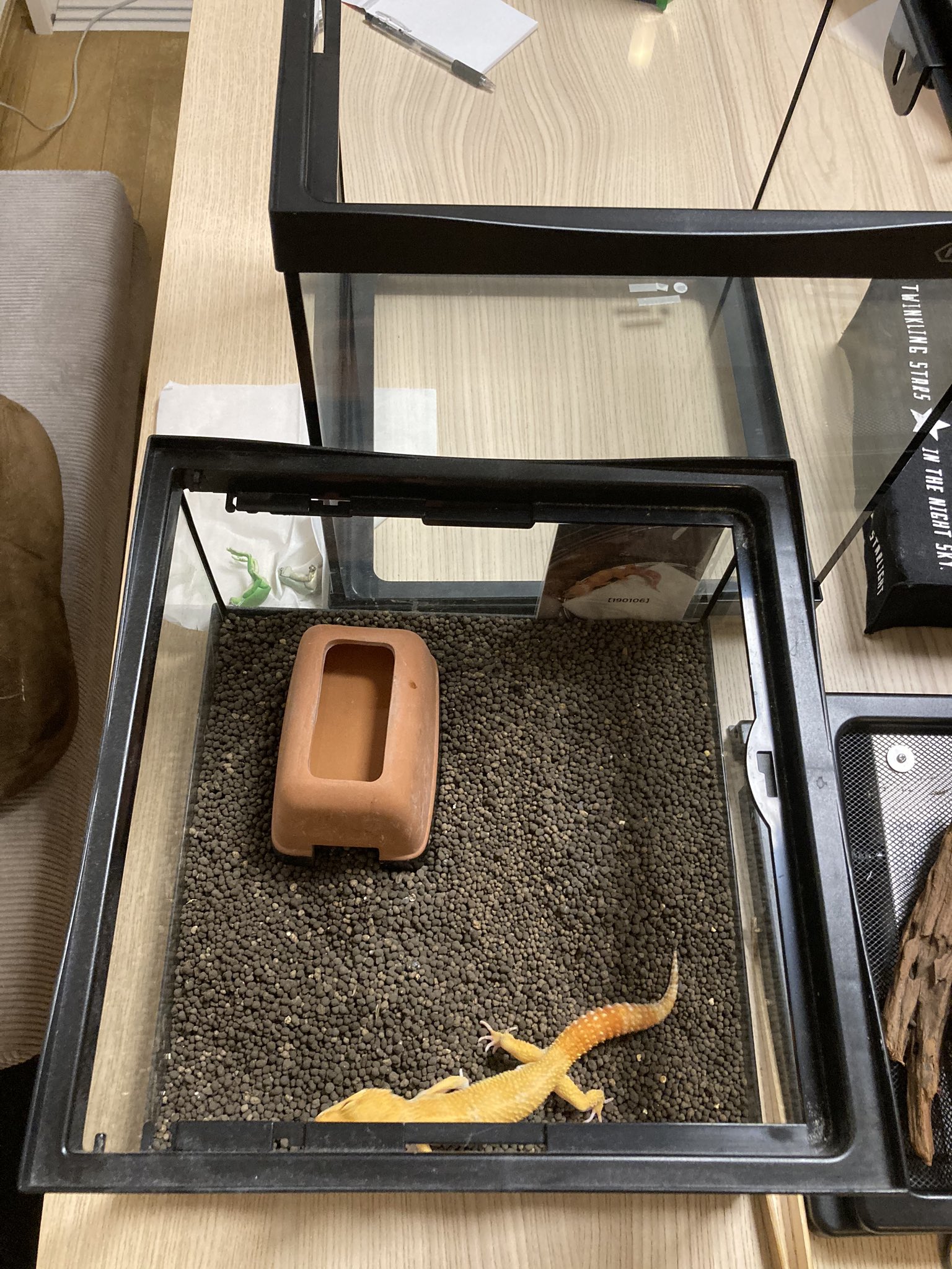 トロ キャンプ レオパ1歳のお引っ越し ヒュドラケース31 ヒュドラケース3133s レオパ 手前の扉無い方が見易くて美しい 立体運動好きだから2階建てレイアウトしてみたい T Co 7gddooxctj Twitter
