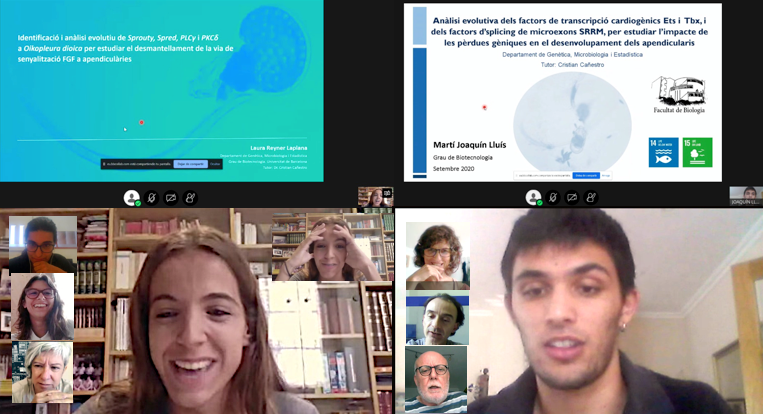 evodevogenomeUB's tweet photo. Congrats to @laurareyner👩‍🎓 &amp; @martijoaquin16👨‍🎓for their excellent undergrad TFG projects carried out in our lab @GeneticsUB  about #GeneLoss #HeartDevelopment #FGF #Microexons and for the excellent oral defenses answering such great evaluation panels @BiologiaUB !! https://t.co/OOBGn01UG4
