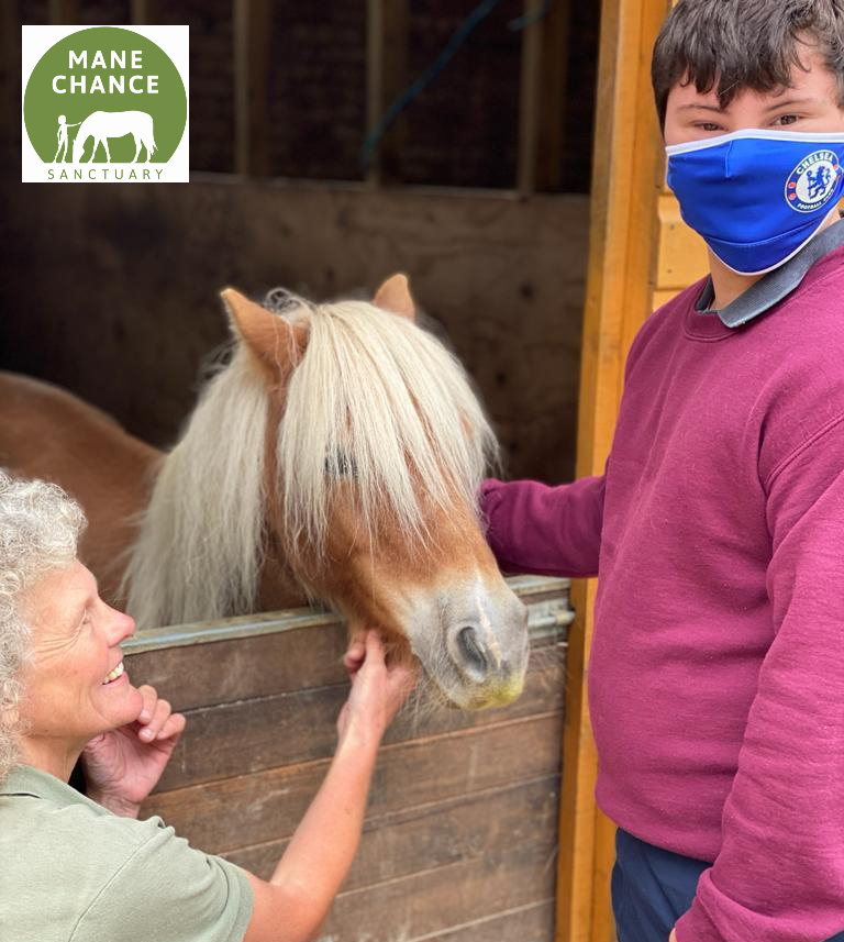 manechance's tweet photo. We had such fun yesterday when our friend Sally Phillips visited, with her son Olly and her dogs, Lottie and Teddy!
The filming was for the #BBCSundayMorningLive and we'll keep you posted when we know when it will be aired! @sallyephillips #rescuehorses @BBC #horsesanctuary https://t.co/GlCI6YPNgU