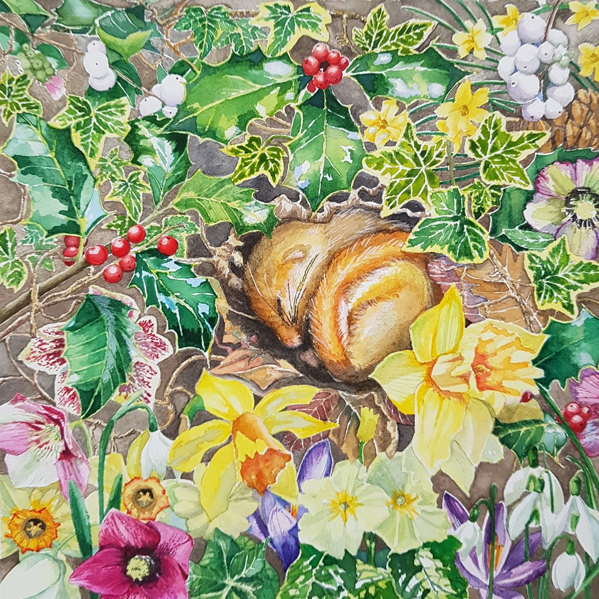 ThorpeArt's tweet photo. This sleepy little chap started as a Christmas card design but I got carried away with lovely spring flowers 😊. "Shhh..." watercolour on paper 8x8" will eventually be cards/prints #dormouse #watercolorpainting #flowerpainting #spring #winter #wildlife #nature #wildlifepainting https://t.co/khdHtcniSl