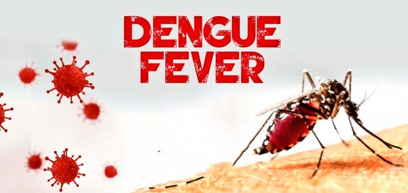 VENETO TROPICALE 🔴
Primo caso di trasmissione di Febbre Dengue tramite #zanzare (Aedes albopictus, Zanzara Tigre) in #Italia.
Bel mix di #inquinamentoClimatico e incuria nel contrastare le piccole acque sporche.
(grazie <a href="/Eurosurveillanc/">Eurosurveillance</a> e <a href="/adriawildlife/">Paul Tout</a>)
eurosurveillance.org/content/10.280…