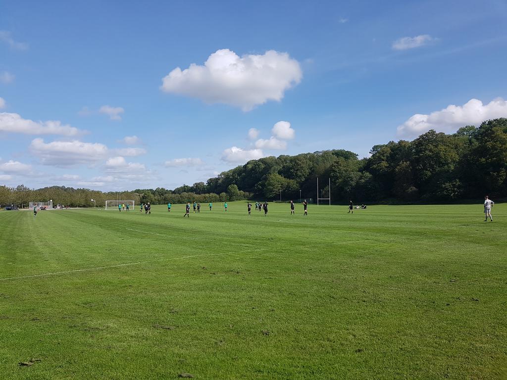 Football fix today. Crowd (so far) about 32, a baby &amp; two dogs! 😀