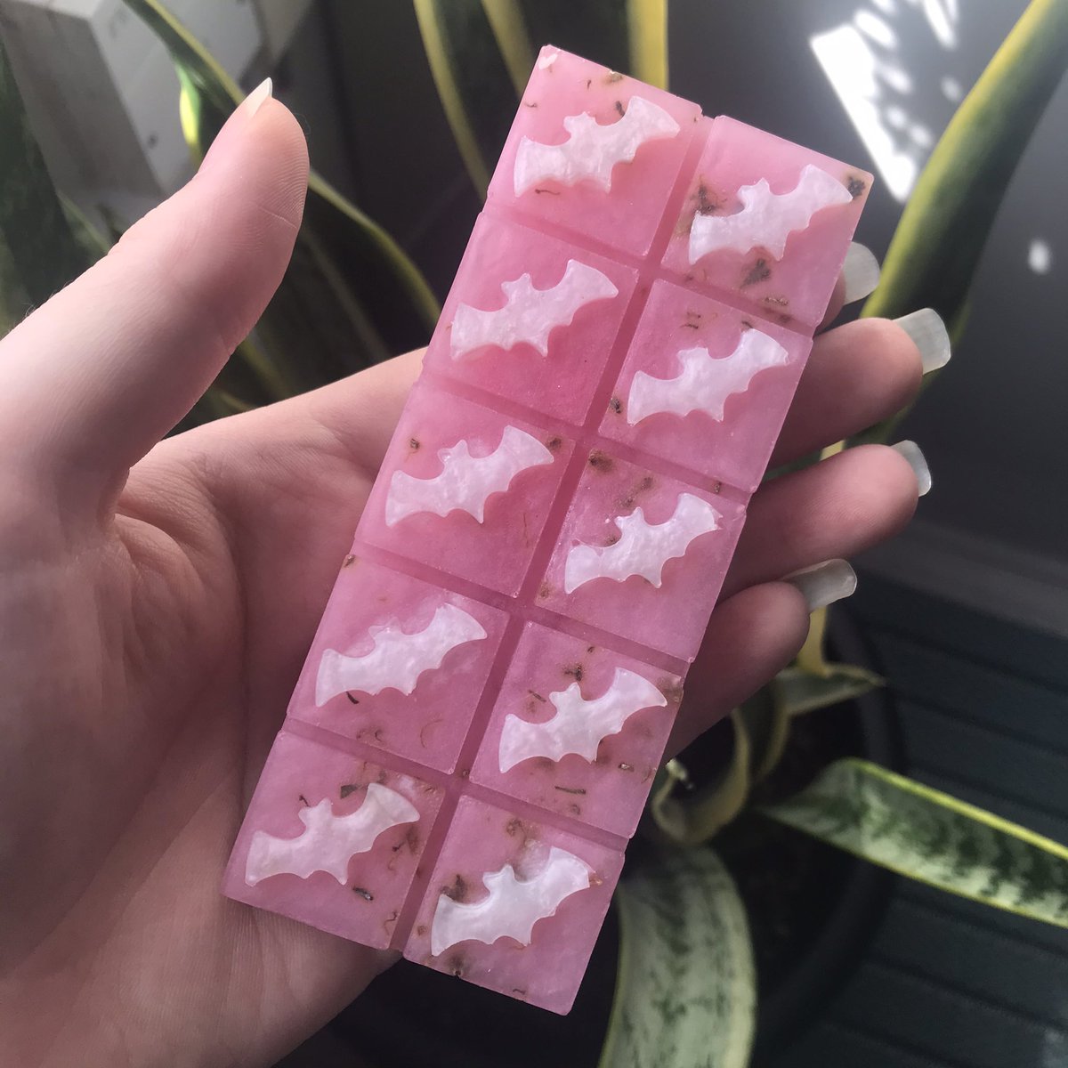 laujadewea's tweet photo. did u say spooky bat soap bars ? 🦇 https://t.co/iHHpDNwWnk