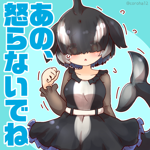 けものフレンズ シャチ はくじょうするときと はげましたいときに投げつけてください ころはのイラスト けものフレンズ シャチ はくじょうするときと はげましたいときに投げつけてください ころはのイラスト