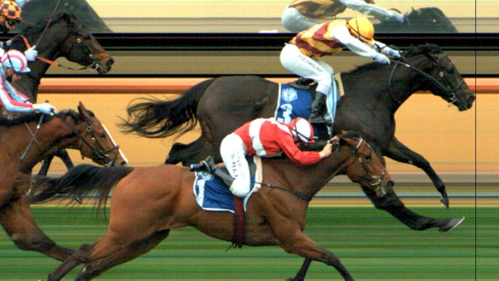 abbyjamesphotog's tweet photo. Can we just take a moment to appreciate Will Pikes’ commitment to the ride on Arcadia Queen - hands and soles! Race 3 @FlemingtonVRC @GetOn78 #arcadiaqueen https://t.co/qnMLH3e9bT