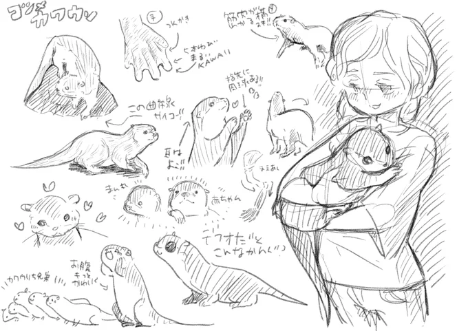 最近、動物の練習をサボってたので、コツメカワウソでれんしゅー。(リヒトのルグのパートナーがコツメカワウソだったのだよ。。。)おやすみ? 